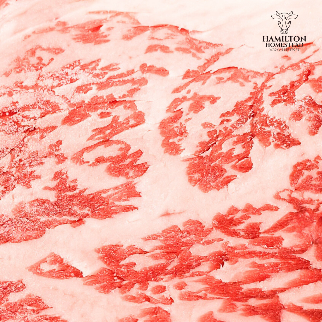 What Makes Fullblood Wagyu Different From Regular Beef?