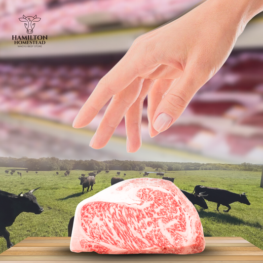Why Buying Beef Shares Beats Grocery Store Meat